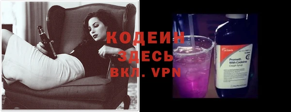 шишки Козловка